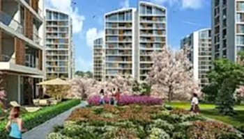 Resim İstanbul Orman